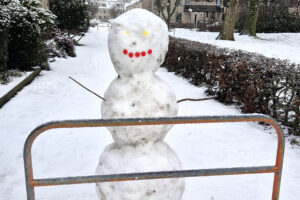 STOP! 7 JANUARI: GEEN BRIDGE!